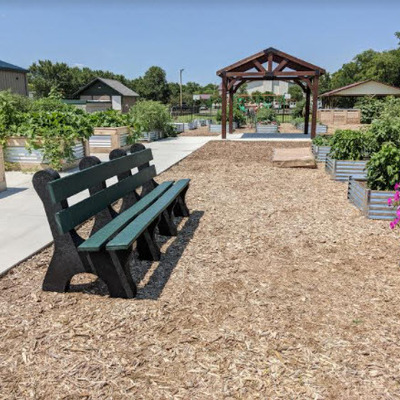 Supporting the Food Bank garden