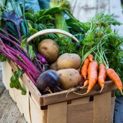 CSA Basket