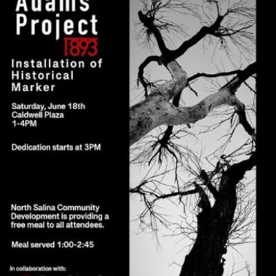 Collaborating on the Dana Adams Project