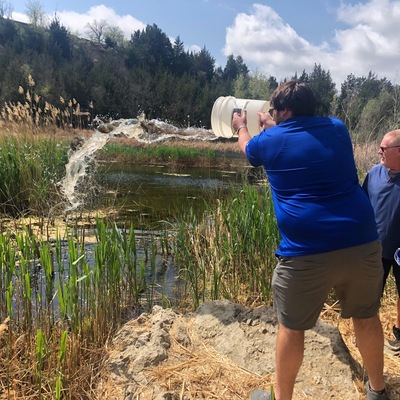 Restoring fish at Indian Rock Pond