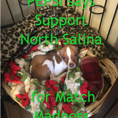 Sandy Beverly's puppy is barking for North Salina