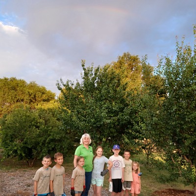 Tree Presentation